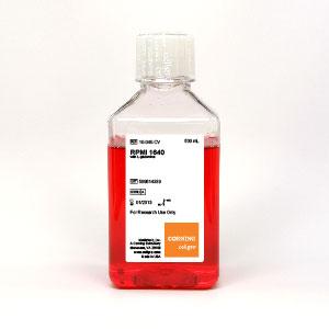 300&times;300