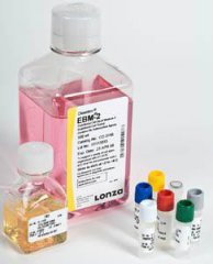 LONZA內皮細胞、支氣管上皮細胞生長培養基